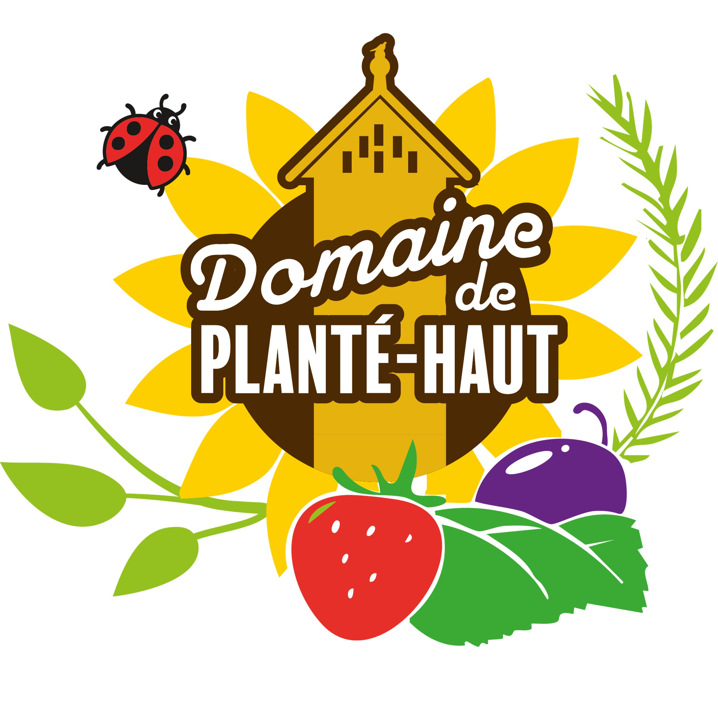 plante-haut